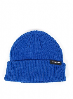 Dickies Woodworth beanie True blue