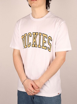 Dickies Aitkin tee White yellow