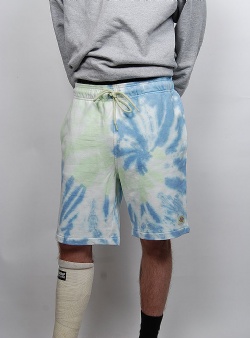 Dickies Seatac shorts Seldaon green