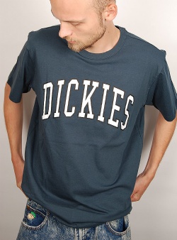 Dickies Aitkin tee Air force blue