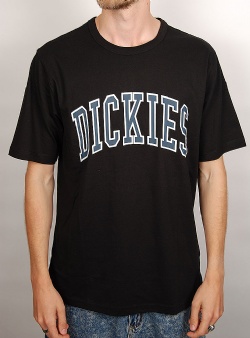 Dickies Aitkin tee Black
