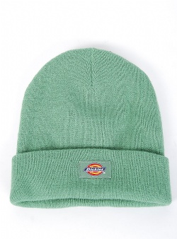 Dickies Gibsland beanie Dark ivy