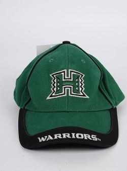 Sportif Vintage Warriors cap Green