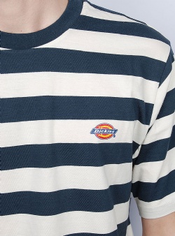 Dickies Rivergrove striped tee Air force blue