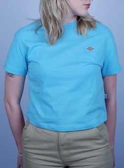 Dickies Oakport boxy tee Sky blue