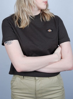 Dickies Oakport boxy tee Dark brown