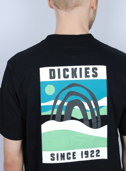 Dickies Bakery city tee Black