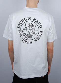 Dickies Bayside gardens tee White