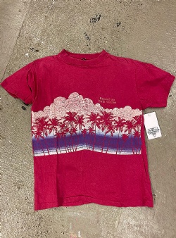 Sportif Vintage Emerald isle tee Pink