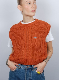 Dickies Mullinville vest Bombay brown
