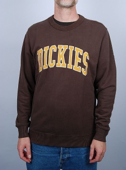 Dickies Aitkin sweatshirt Java