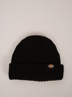 Dickies Garnett fisherman beanie Black