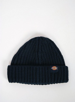 Dickies Garnett fisherman beanie Navy blue
