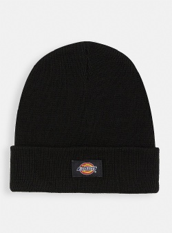 Dickies Gibsland beanie Black