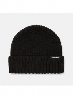 Dickies Woodworth beanie Black