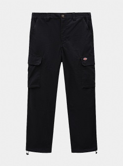 Dickies Hooper bay cargo w Black