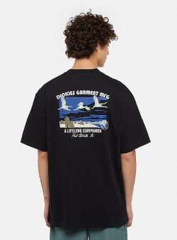 Dickies Companion tee Black