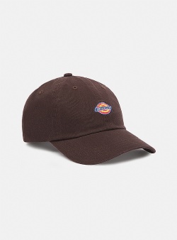 Dickies Hardwick cap Dark brown