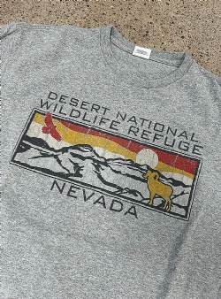 Sportif Vintage Nevada tee L?, Grey