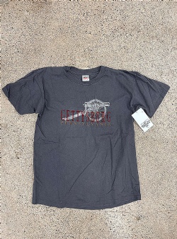 Sportif Vintage Gettysburg tee L, Grey