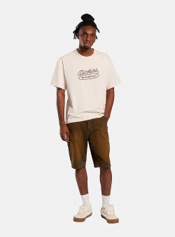 Dickies Rope tee Whitecap gray