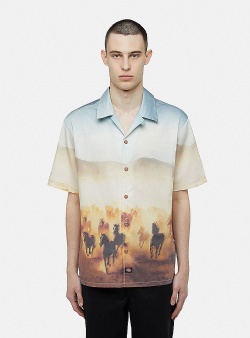 Dickies Running wild ss shirt Oak buff