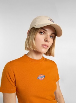 Dickies Hardwick cap Whitecap gray