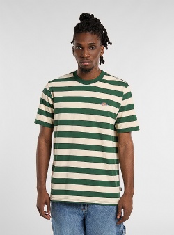 Dickies Rivergrove tee Pine needle green