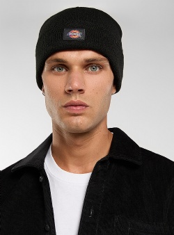 Dickies Gibsland beanie Black