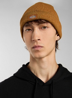 Dickies Gibsland beanie Brown duck
