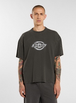 Dickies Plainville tee Black
