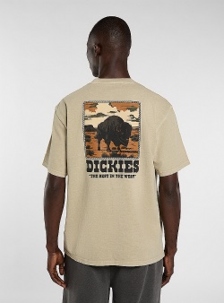 Dickies Darrtown tee Eucalyptus