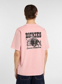 Dickies Buchtell tee Bridal rose
