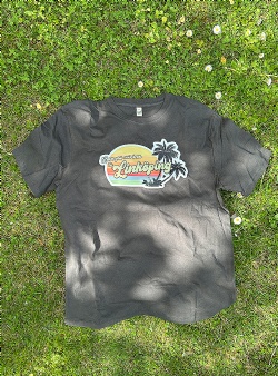 Sportif Have you ever been to Link�ping tee Faded black