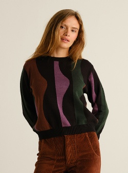 Dedicated Wavy stripe Arendal sweater Multi color