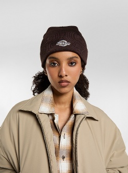 Dickies Summerdale beanie